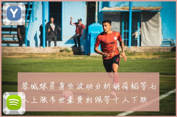 蓉城球员身价波动分析胡荷韬等七人上涨韦世豪费利佩等十人下跌